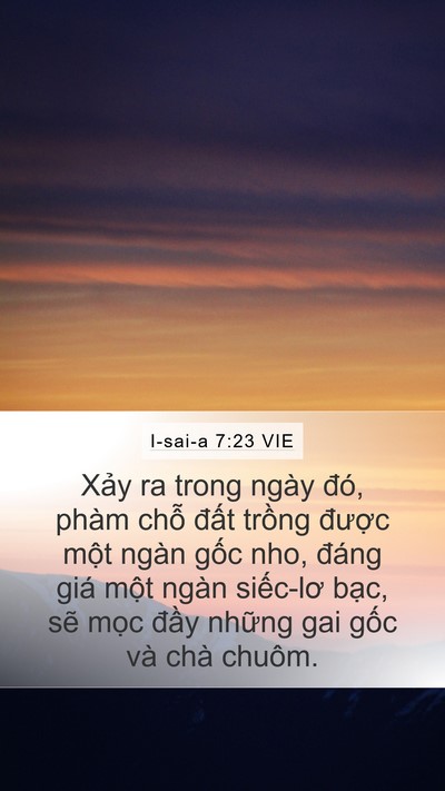 I-sai-a 7:23 VIE Bible Verse Image