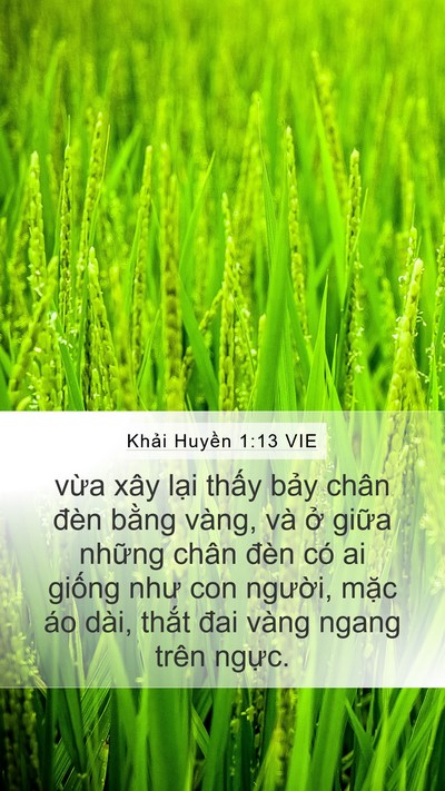 Khải Huyền 1:13 VIE Bible Verse Image