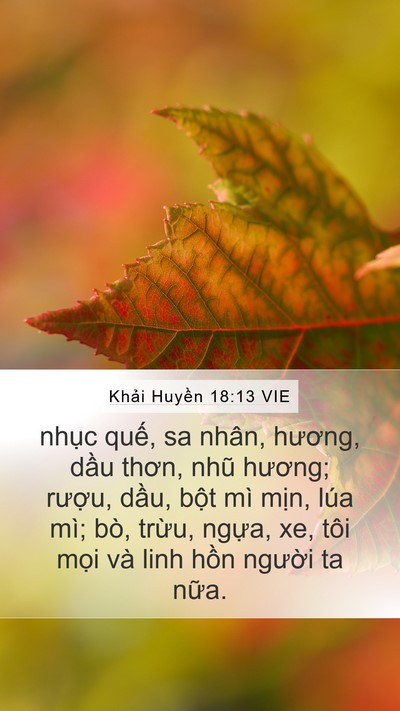 Khải Huyền 18:13 VIE Bible Verse Image