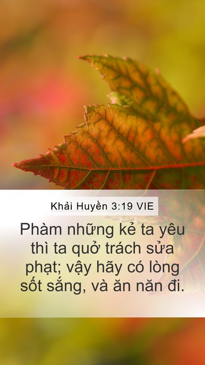 Khải Huyền 3:19 VIE Bible Verse Image