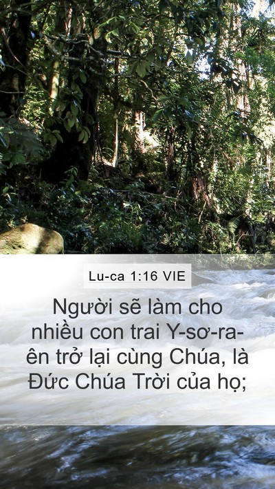 Lu-ca 1:16 VIE Mobile Phone Wallpaper - Người sẽ làm cho nhiều con trai - Mobile Bible Verse Wallpaper