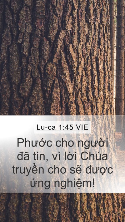 Lu-ca 1:45 VIE Bible Verse Image