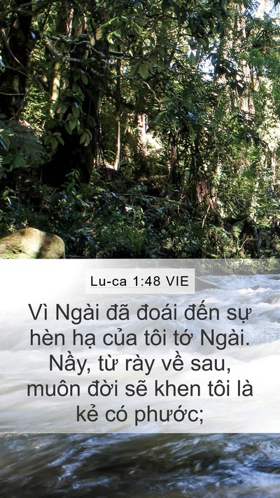 Lu-ca 1:48 VIE Bible Verse Image