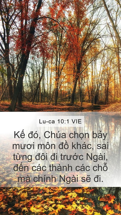 Lu-ca 10:1 VIE Mobile Phone Wallpaper - Kế đó, Chúa chọn bảy mươi môn đồ - Mobile Bible Verse Wallpaper