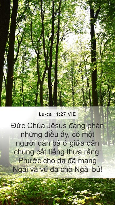 Lu-ca 11:27 VIE Bible Verse Image