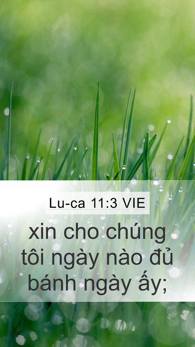 Lu-ca 11:3 VIE Bible Verse Image