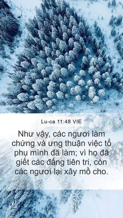 Lu-ca 11:48 VIE Bible Verse Image