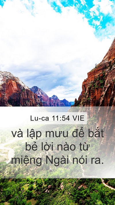 Lu-ca 11:54 VIE Mobile Phone Wallpaper - và lập mưu để bắt bẻ lời nào từ - Mobile Bible Verse Wallpaper