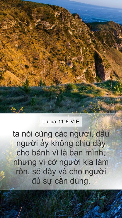 Lu-ca 11:8 VIE Bible Verse Image