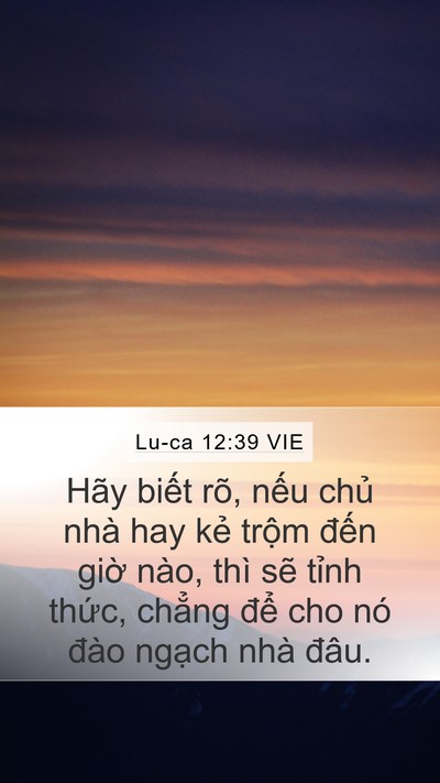 Lu-ca 12:39 VIE Mobile Phone Wallpaper - Hãy biết rõ, nếu chủ nhà hay kẻ trộm - Mobile Bible Verse Wallpaper