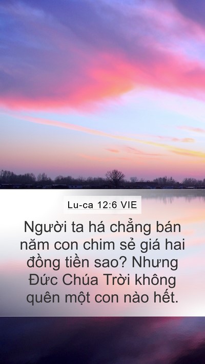 Lu-ca 12:6 VIE Mobile Phone Wallpaper - Người ta há chẳng bán năm con chim sẻ - Mobile Bible Verse Wallpaper