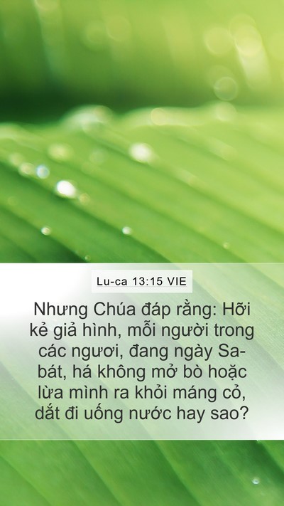 Lu-ca 13:15 VIE Bible Verse Image