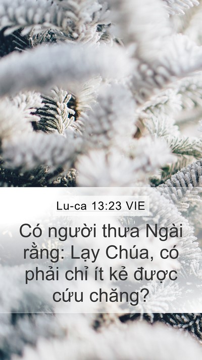 Lu-ca 13:23 VIE Bible Verse Image