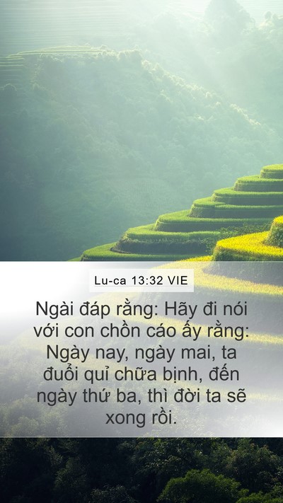 Lu-ca 13:32 VIE Bible Verse Image