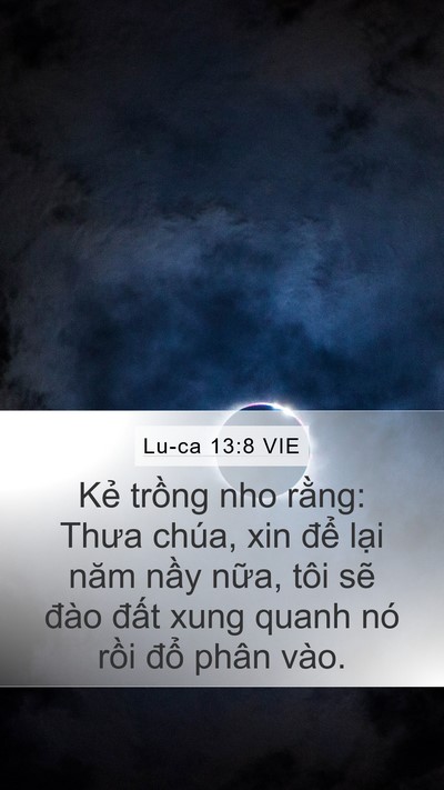 Lu-ca 13:8 VIE Mobile Phone Wallpaper - Kẻ trồng nho rằng: Thưa chúa, xin để - Mobile Bible Verse Wallpaper