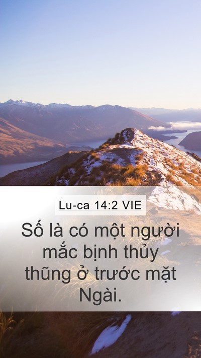 Lu-ca 14:2 VIE Mobile Phone Wallpaper - Số là có một người mắc bịnh thủy - Mobile Bible Verse Wallpaper