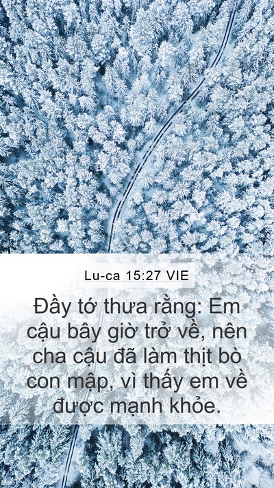 Lu-ca 15:27 VIE Mobile Phone Wallpaper - Đầy tớ thưa rằng: Em cậu bây giờ - Mobile Bible Verse Wallpaper