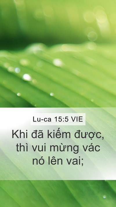 Lu-ca 15:5 VIE Mobile Phone Wallpaper - Khi đã kiếm được, thì vui mừng vác - Mobile Bible Verse Wallpaper