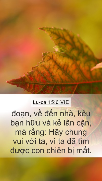 Lu-ca 15:6 VIE Bible Verse Image