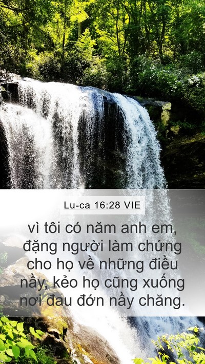 Lu-ca 16:28 VIE Bible Verse Image