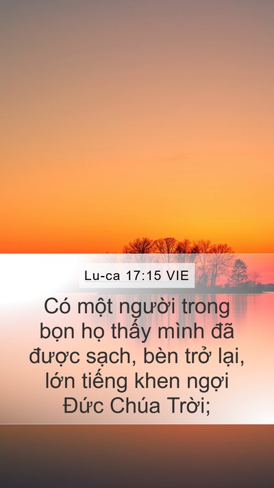 Lu-ca 17:15 VIE Bible Verse Image