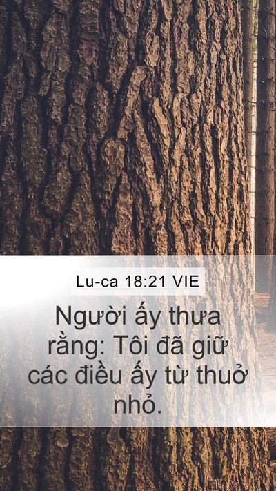 Lu-ca 18:21 VIE Mobile Phone Wallpaper - Người ấy thưa rằng: Tôi đã giữ các - Mobile Bible Verse Wallpaper