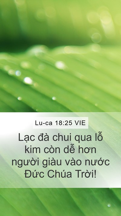 Lu-ca 18:25 VIE Bible Verse Image