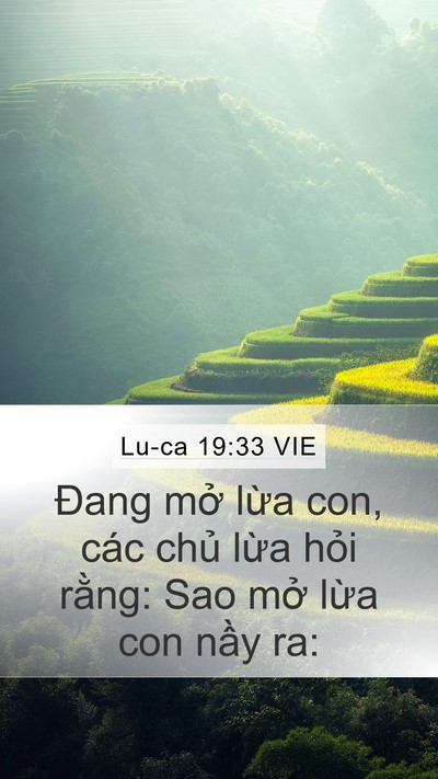 Lu-ca 19:33 VIE Mobile Phone Wallpaper - Đang mở lừa con, các chủ lừa hỏi - Mobile Bible Verse Wallpaper