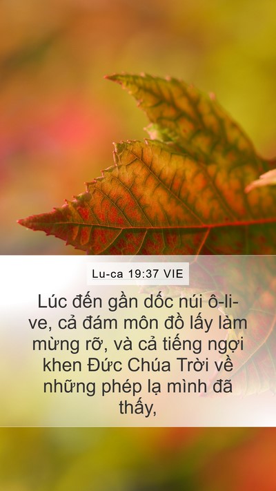 Lu-ca 19:37 VIE Bible Verse Image