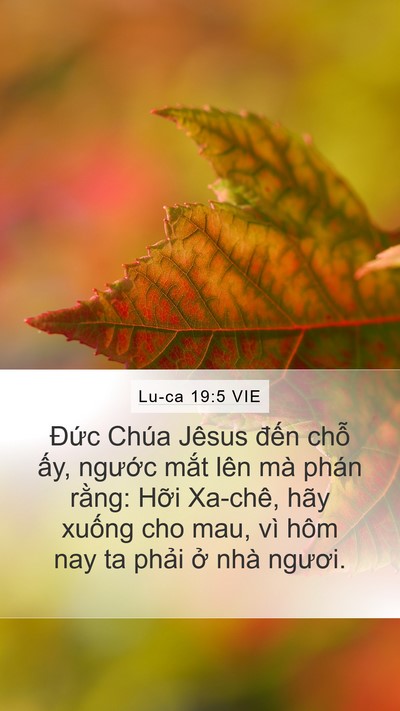 Lu-ca 19:5 VIE Mobile Phone Wallpaper - Đức Chúa Jêsus đến chỗ ấy, ngước - Mobile Bible Verse Wallpaper