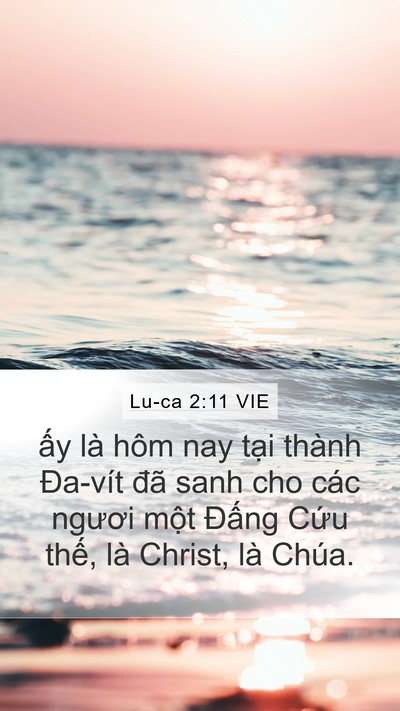 Lu-ca 2:11 VIE Bible Verse Image