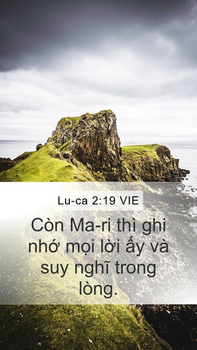 Lu-ca 2:19 VIE Bible Verse Image