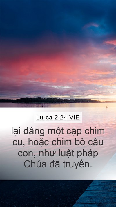 Lu-ca 2:24 VIE Mobile Phone Wallpaper - lại dâng một cặp chim cu, hoặc chim bò - Mobile Bible Verse Wallpaper