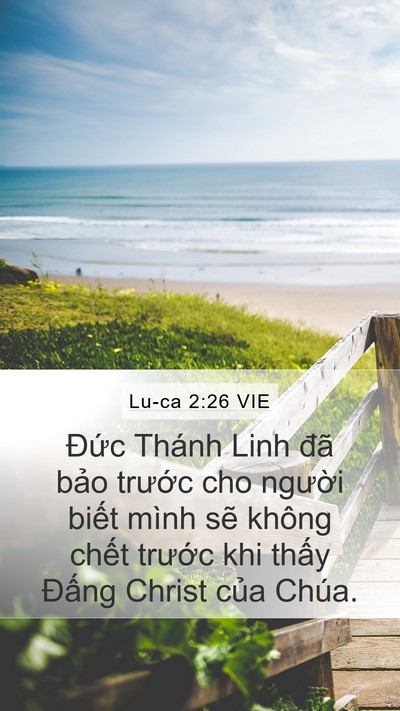 Lu-ca 2:26 VIE Bible Verse Image
