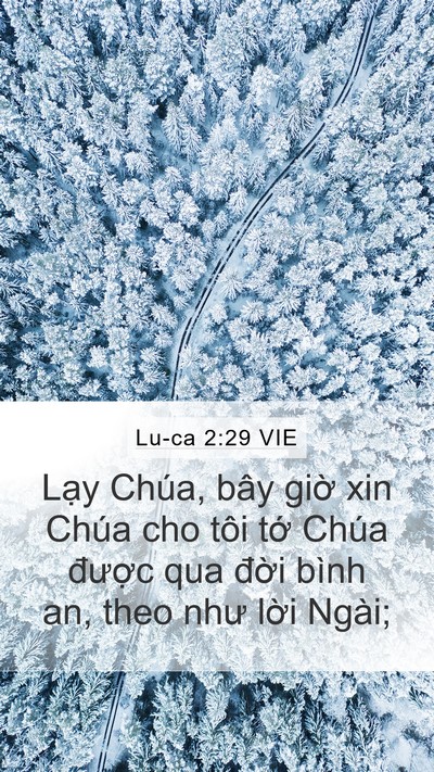Lu-ca 2:29 VIE Bible Verse Image