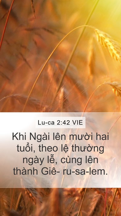 Lu-ca 2:42 VIE Bible Verse Image