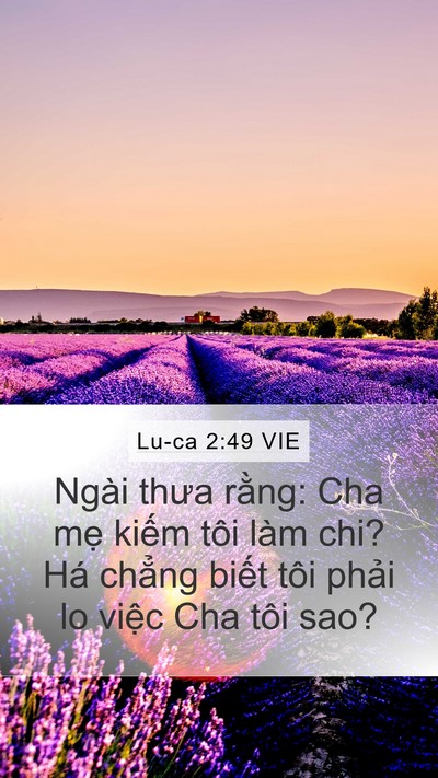 Lu-ca 2:49 VIE Bible Verse Image