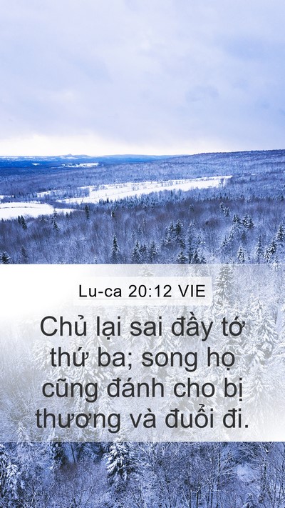 Lu-ca 20:12 VIE Bible Verse Image