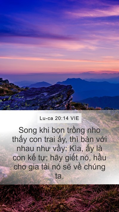 Lu-ca 20:14 VIE Bible Verse Image