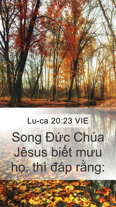 Lu-ca 20:23 VIE Bible Verse Image