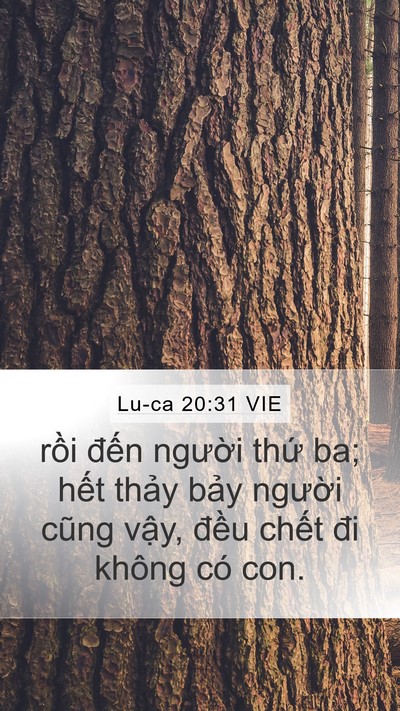 Lu-ca 20:31 VIE Mobile Phone Wallpaper - rồi đến người thứ ba; hết thảy - Mobile Bible Verse Wallpaper