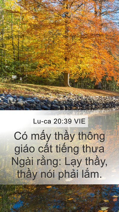 Lu-ca 20:39 VIE Bible Verse Image