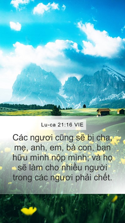 Lu-ca 21:16 VIE Bible Verse Image