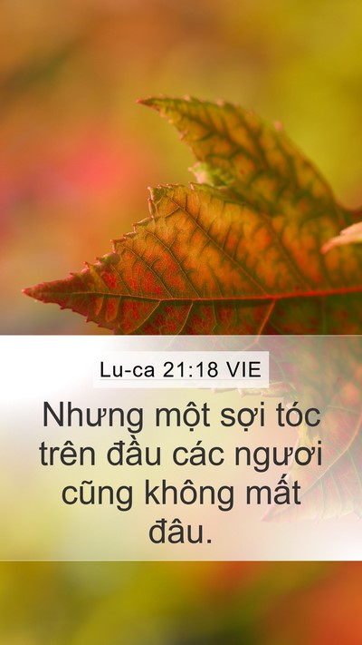 Lu-ca 21:18 VIE Bible Verse Image