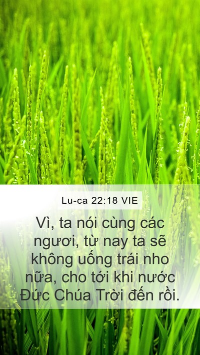 Lu-ca 22:18 VIE Mobile Phone Wallpaper - Vì, ta nói cùng các ngươi, từ nay ta sẽ - Mobile Bible Verse Wallpaper