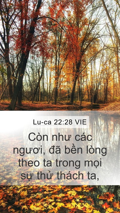 Lu-ca 22:28 VIE Bible Verse Image