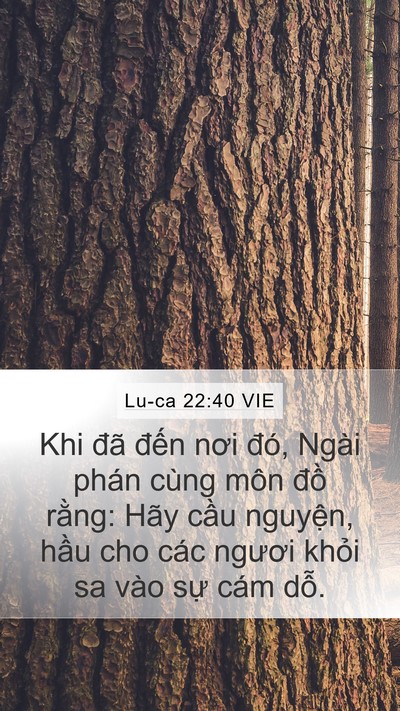 Lu-ca 22:40 VIE Mobile Phone Wallpaper - Khi đã đến nơi đó, Ngài phán cùng môn - Mobile Bible Verse Wallpaper