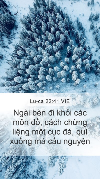 Lu-ca 22:41 VIE Mobile Phone Wallpaper - Ngài bèn đi khỏi các môn đồ, cách - Mobile Bible Verse Wallpaper