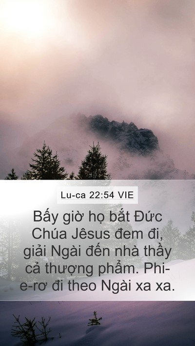 Lu-ca 22:54 VIE Bible Verse Image