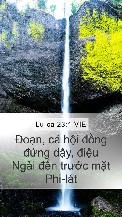 Lu-ca 23:1 VIE Bible Verse Image